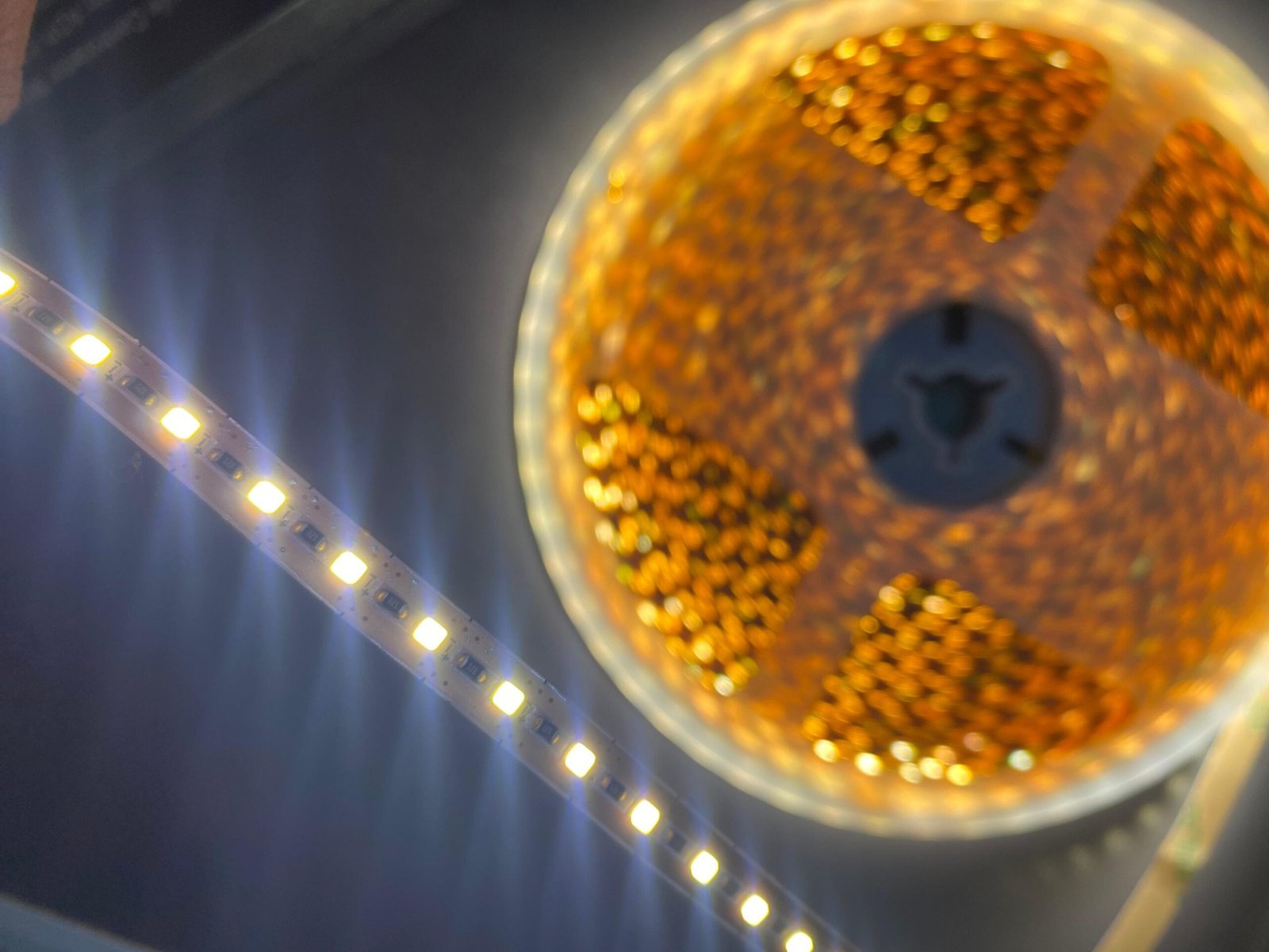 Tira LED 2025 IP20 12V sin soldar 15M - Image 2