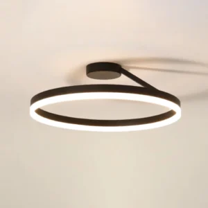 Lámpara Colgante Circular SD-001 220V