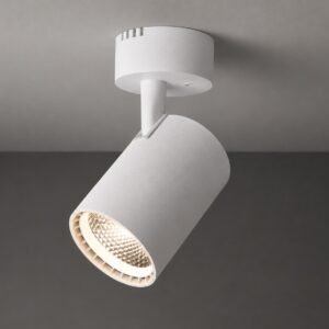 Cabezal Orientable LED 3000K 220V T-11