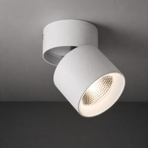Cabezal Orientable Doble LED 3000K 220V T-12